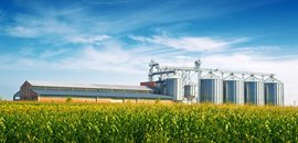Getreidelagerung und -handling (in landwirtschaftlichen Betrieben)