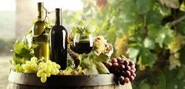 Weinkellereien, Schnapsbrennereien, Pflanzenölmühlen, Saatgutaufbereitung